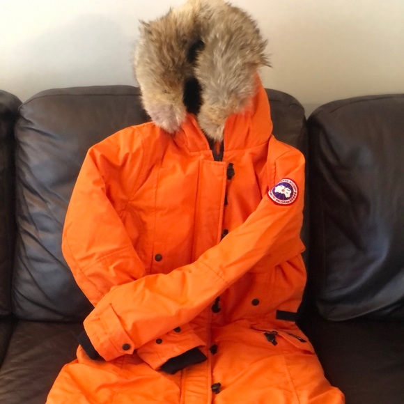 Canada goose - Picture 3 of 7